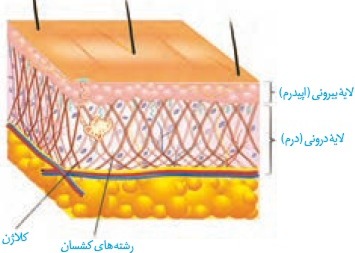 دریافت سوال 4