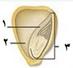 دریافت سوال 20