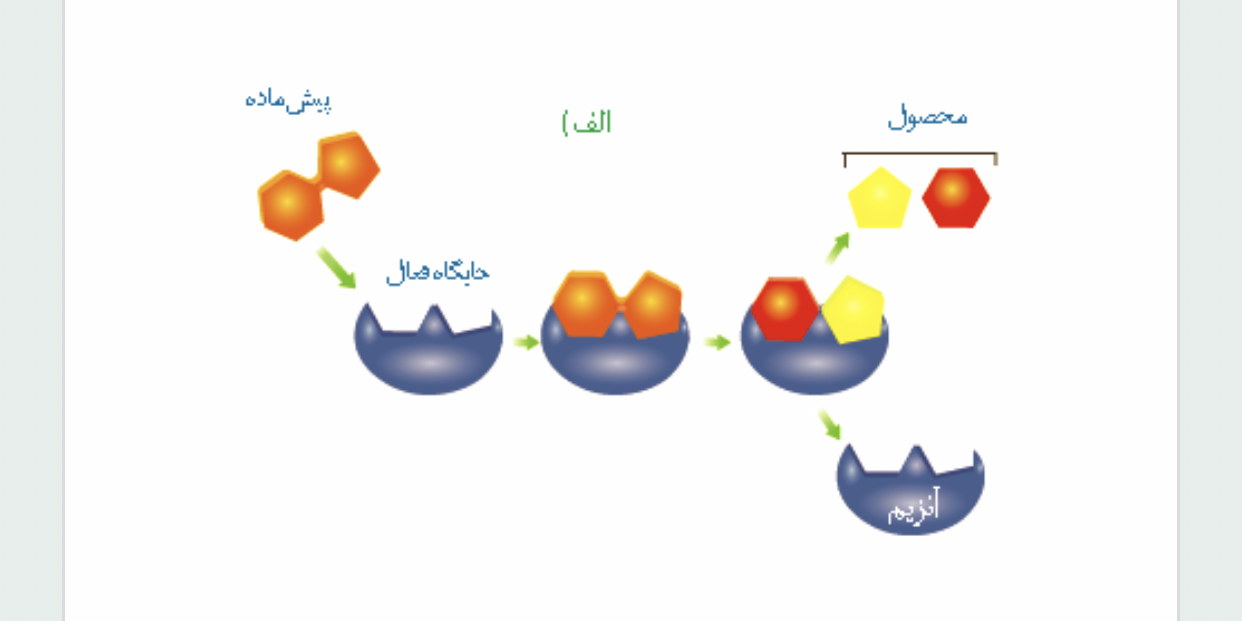 دریافت سوال 5