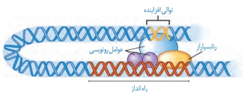 دریافت سوال 28