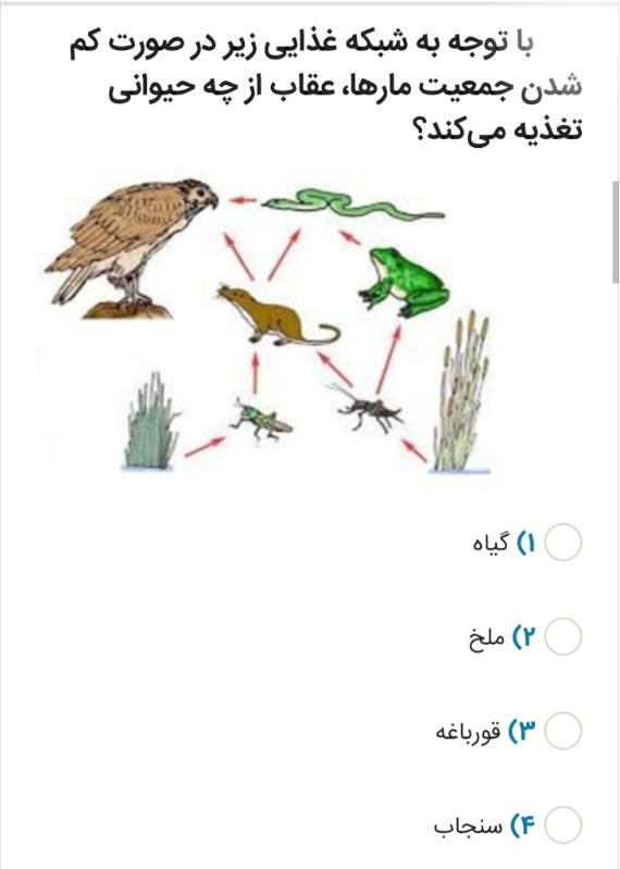 دریافت سوال 21