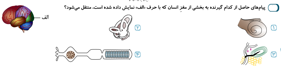 دریافت سوال 27