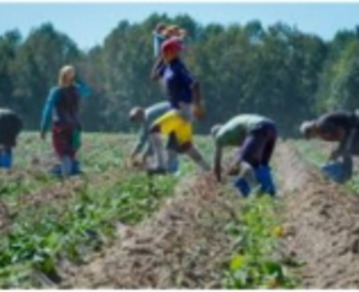 دریافت سوال 17