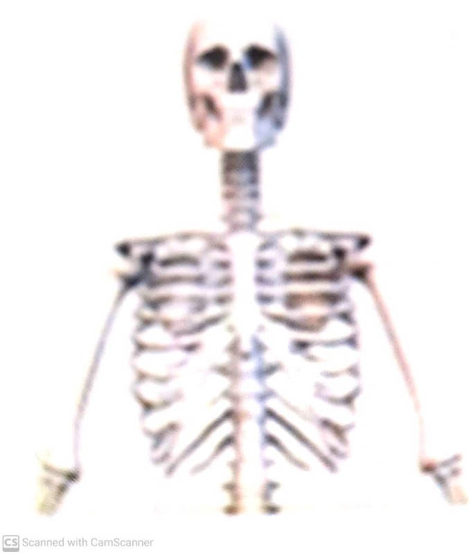 دریافت سوال 17