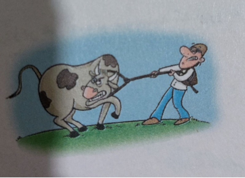 دریافت سوال 17