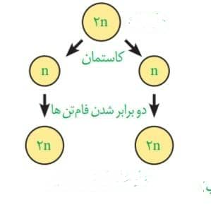 دریافت سوال 13