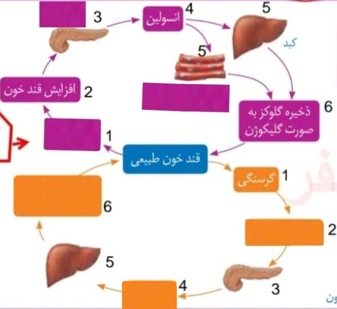 دریافت سوال 16