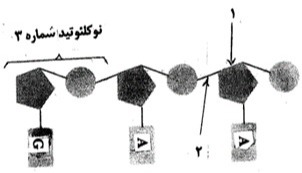 دریافت سوال 5