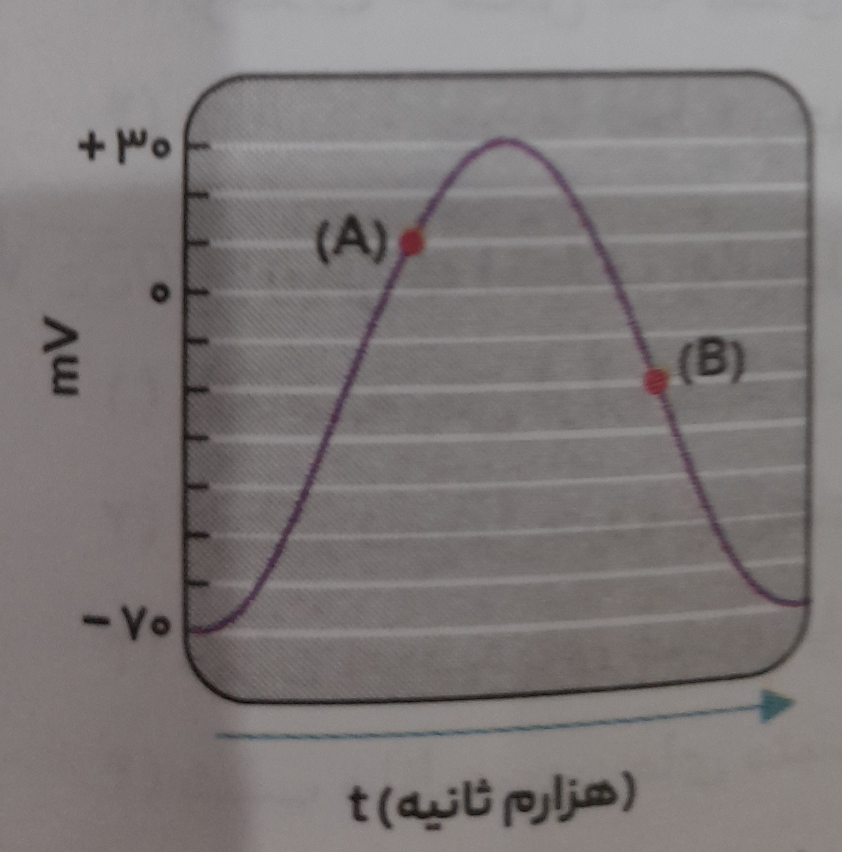 دریافت سوال 5