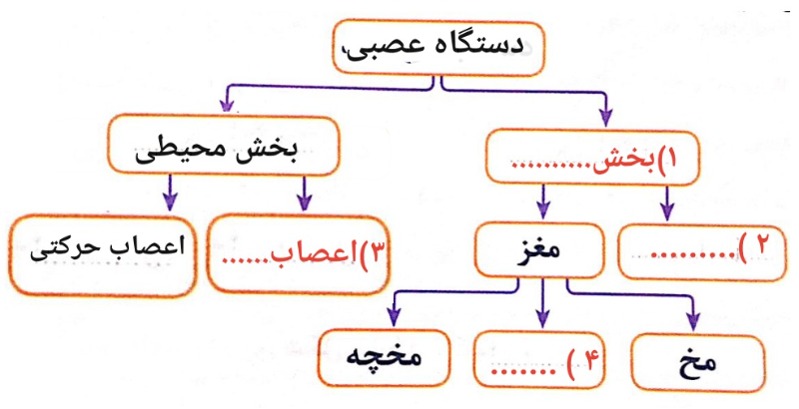 دریافت سوال 24