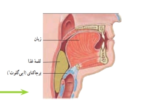 دریافت سوال 20