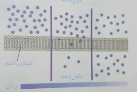 دریافت سوال 8