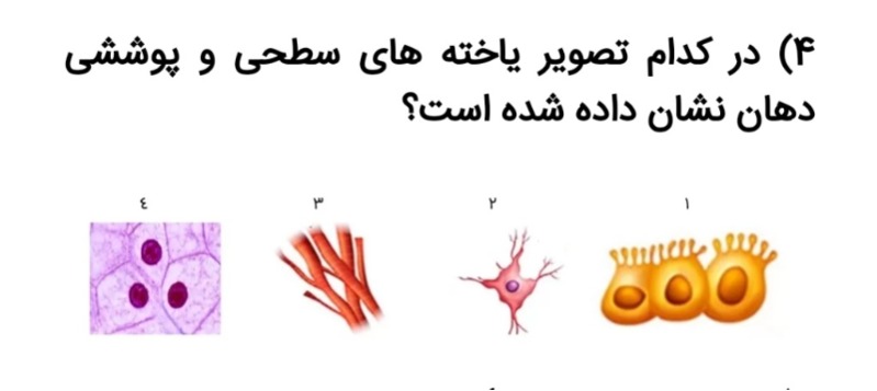 دریافت سوال 4