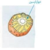 دریافت سوال 17