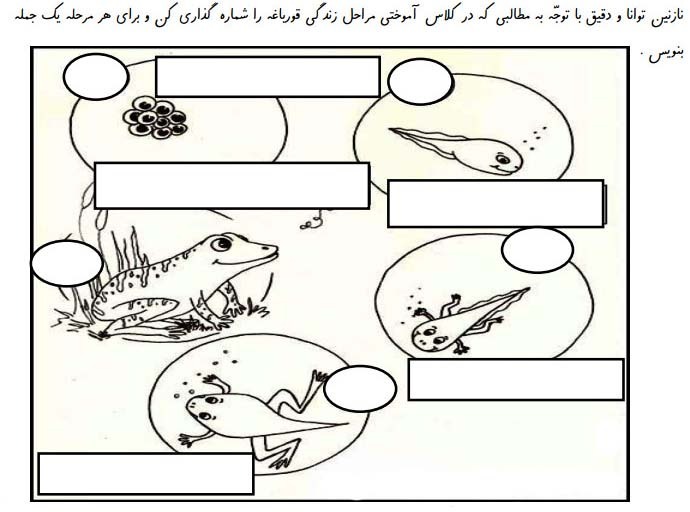 دریافت تخته مجازی 1