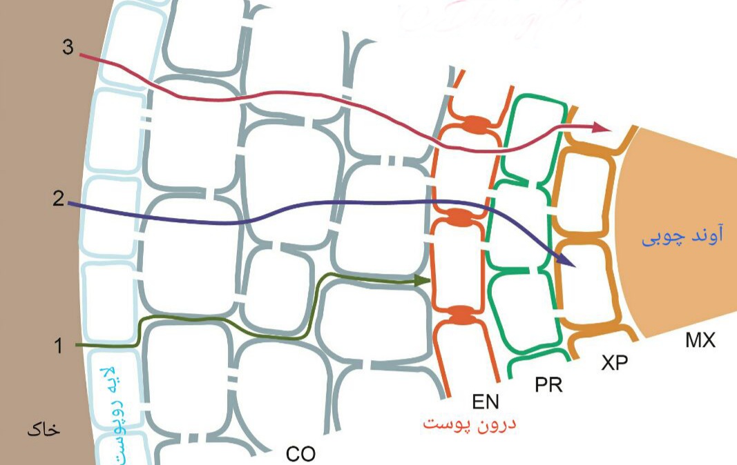 دریافت سوال 90