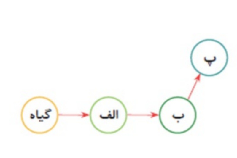 دریافت سوال 8