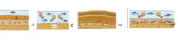 دریافت سوال 8