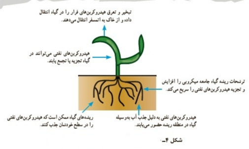 دریافت سوال 17