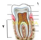 دریافت سوال 37