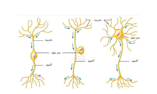 دریافت سوال 9