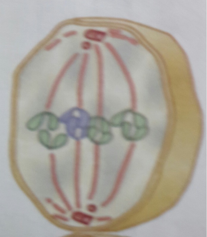 دریافت سوال 10