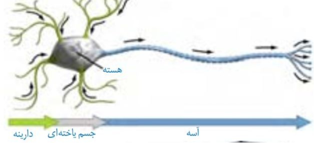 دریافت سوال 69
