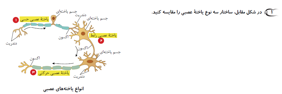 دریافت سوال 1