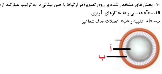 دریافت سوال 5