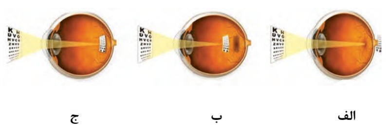 دریافت سوال 6