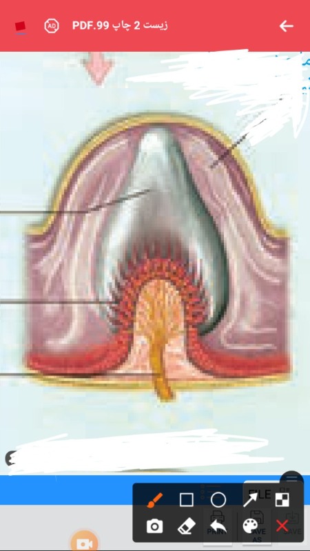 دریافت سوال 3