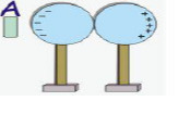 دریافت سوال 13