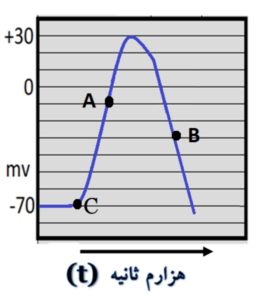 دریافت سوال 6