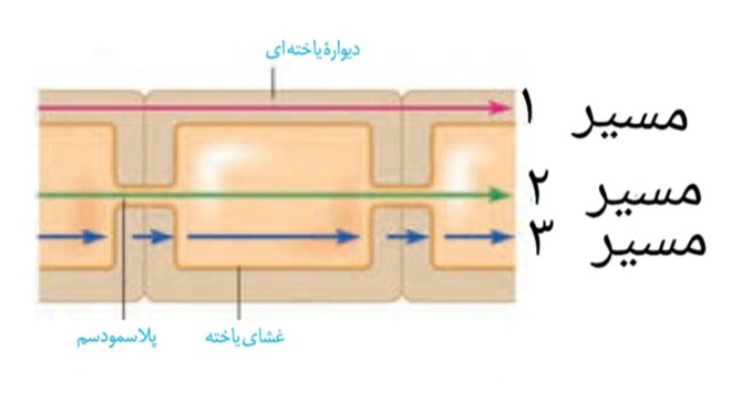 دریافت سوال 4