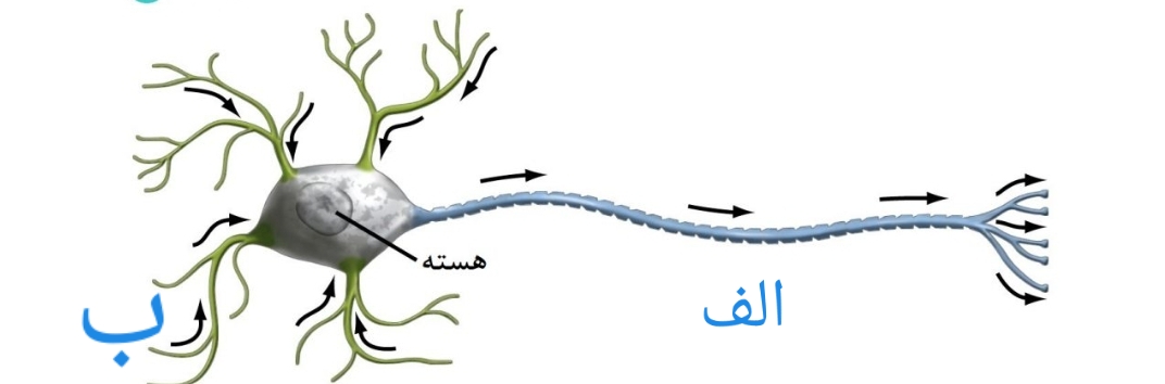 دریافت سوال 5