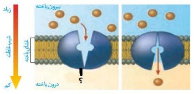 دریافت سوال 7