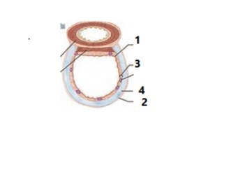 دریافت سوال 1