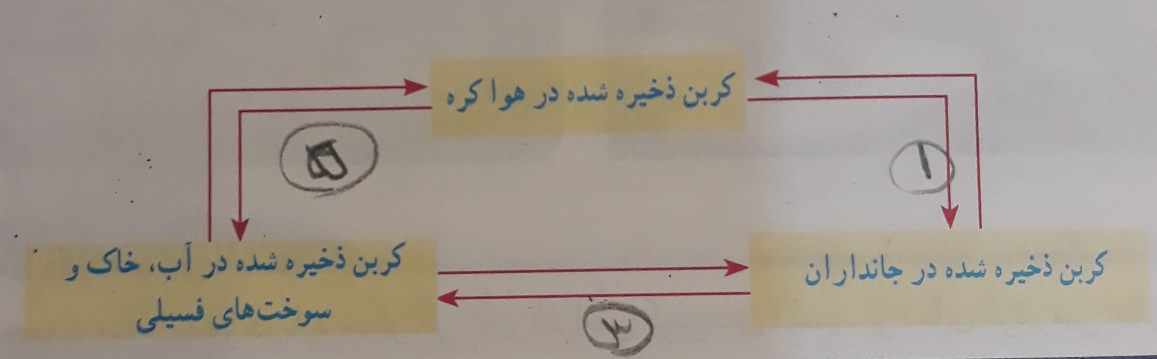 دریافت سوال 9