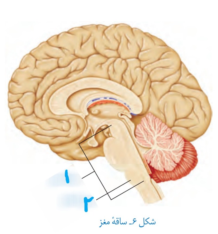 دریافت سوال 14