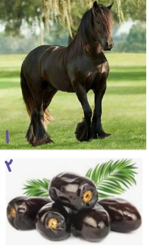 دریافت سوال 1