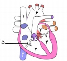 دریافت سوال 28