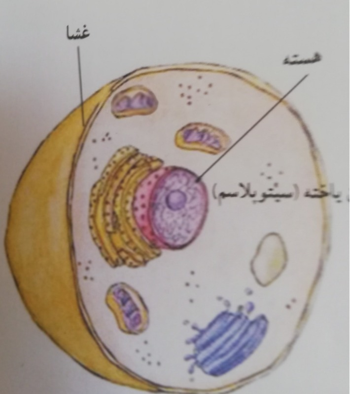 دریافت سوال 18