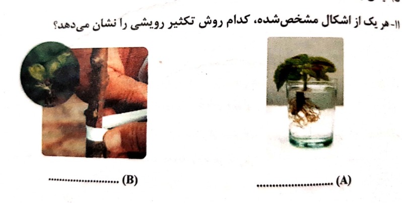 دریافت سوال 21