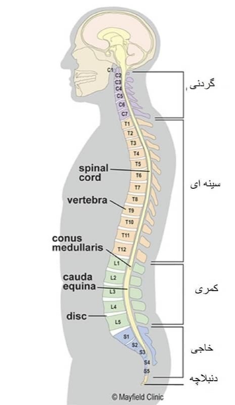 دریافت چند انتخابی 2