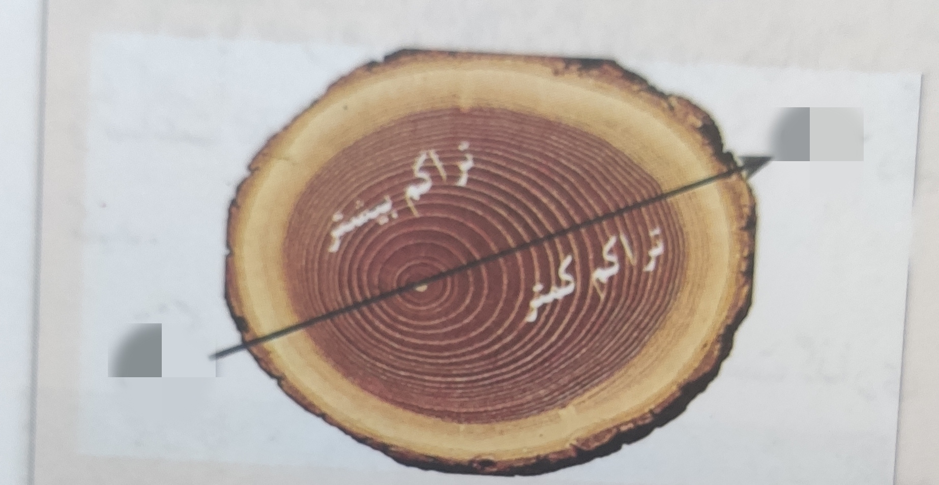 دریافت سوال 19