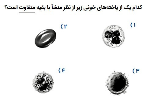 دریافت سوال 6