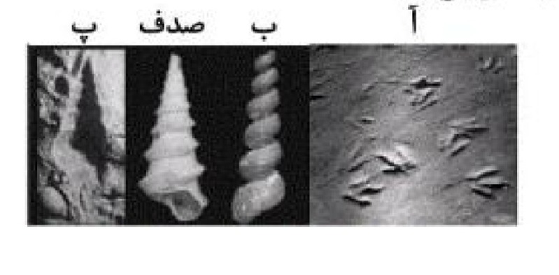 دریافت سوال 9