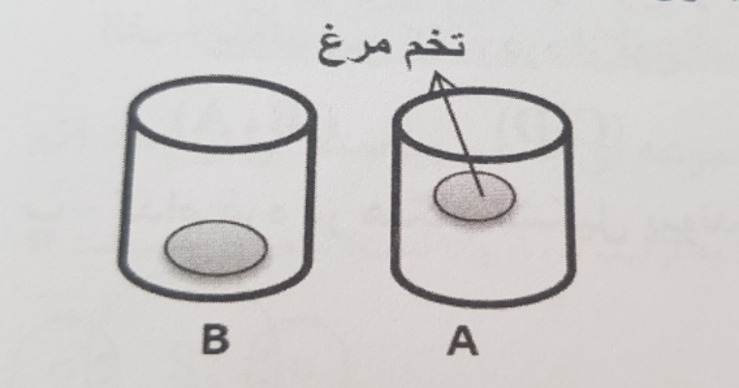 دریافت سوال 7