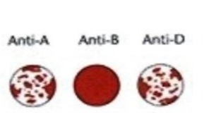 دریافت سوال 10