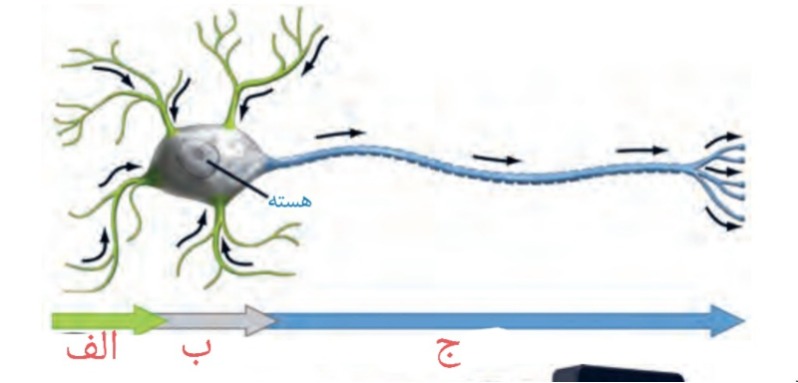 دریافت سوال 6